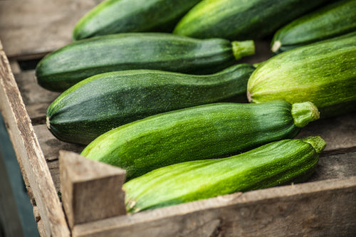 Zucchini Fresh